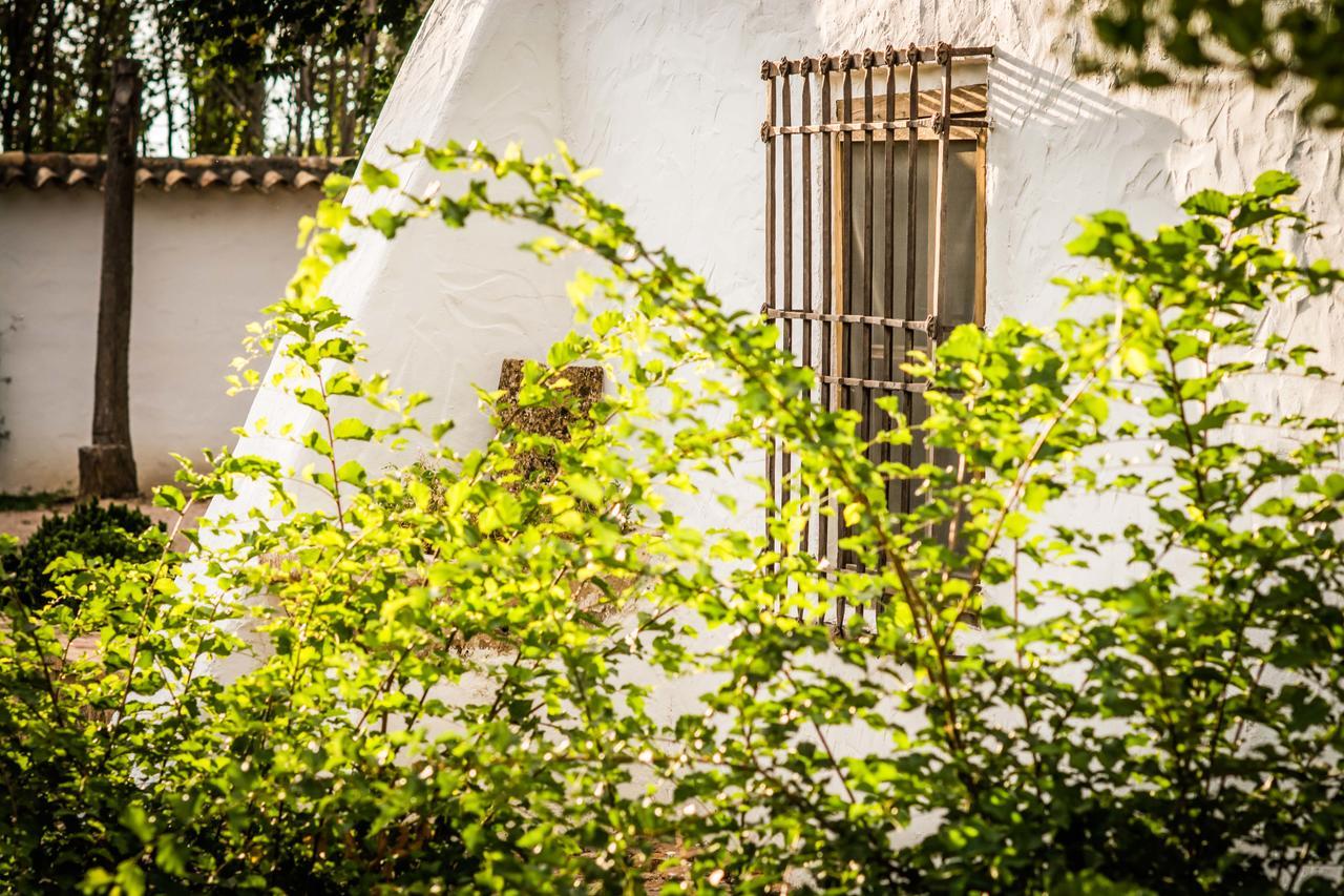 Casa Rural La Alameda Madridejos Exterior photo